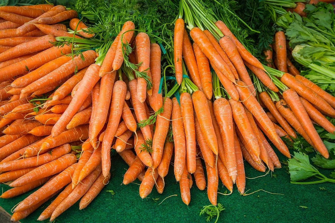 You are currently viewing 🥕 Carottes Vichy au Thermomix (Rapide & Facile) ⏱️